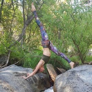 Dragonfly eco friendly yoga pants
